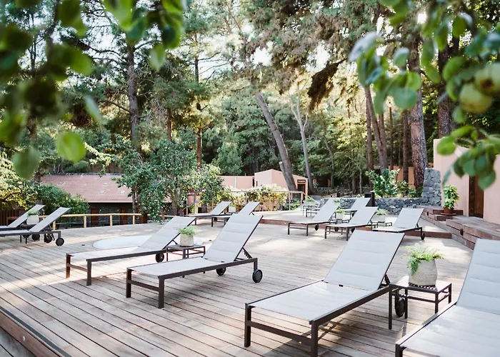 Rural Ohana Hotel Santa Cruz de Tenerife